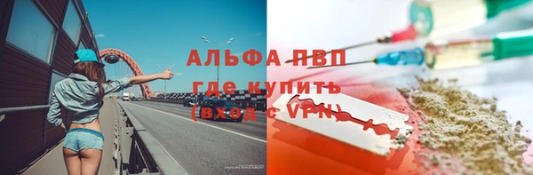 прущие грибы Вязьма