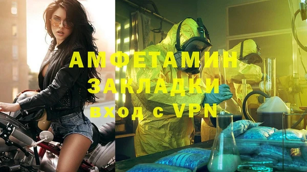 прущие грибы Вязьма