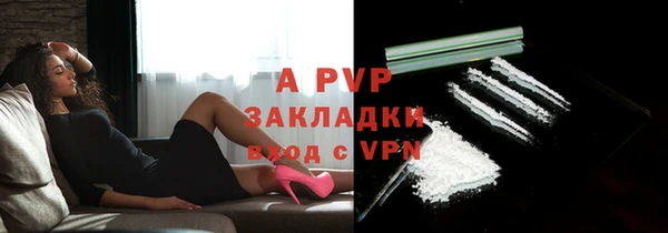 прущие грибы Вязьма
