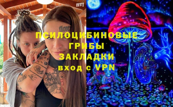 ГАЛЛЮЦИНОГЕННЫЕ ГРИБЫ Вяземский