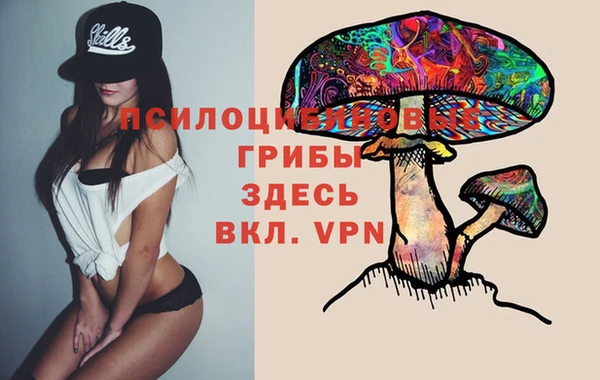 ГАЛЛЮЦИНОГЕННЫЕ ГРИБЫ Вяземский