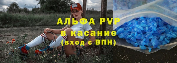 ГАЛЛЮЦИНОГЕННЫЕ ГРИБЫ Вяземский