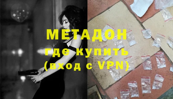 прущие грибы Вязьма