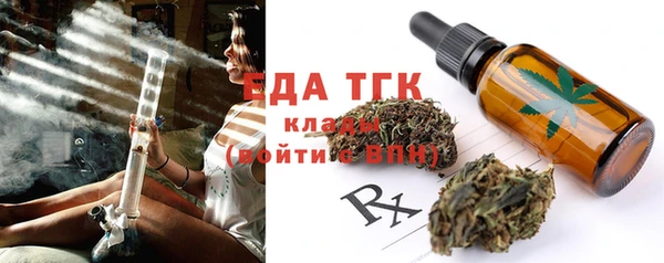 прущие грибы Вязьма