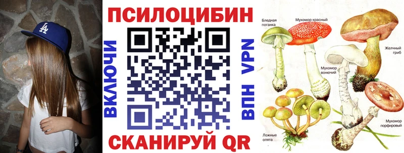 МЕГА как войти  Лысково  Псилоцибиновые грибы Magic Shrooms 